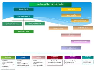 ผังโครงสร้างหน่วยงาน